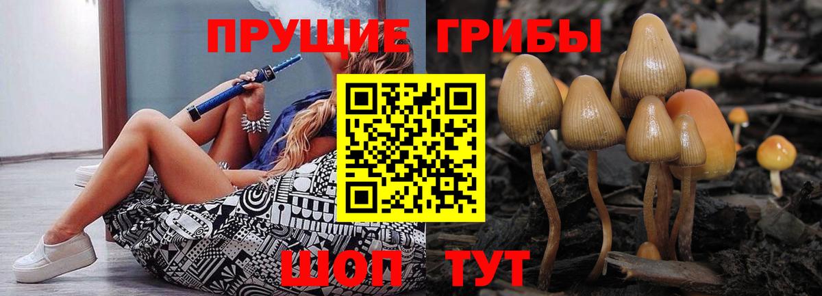 Россия  Галлюциногенные грибы MAGIC MUSHROOMS  Вход с VPN  Псилоцибиновые грибы GOLDEN TEACHER 